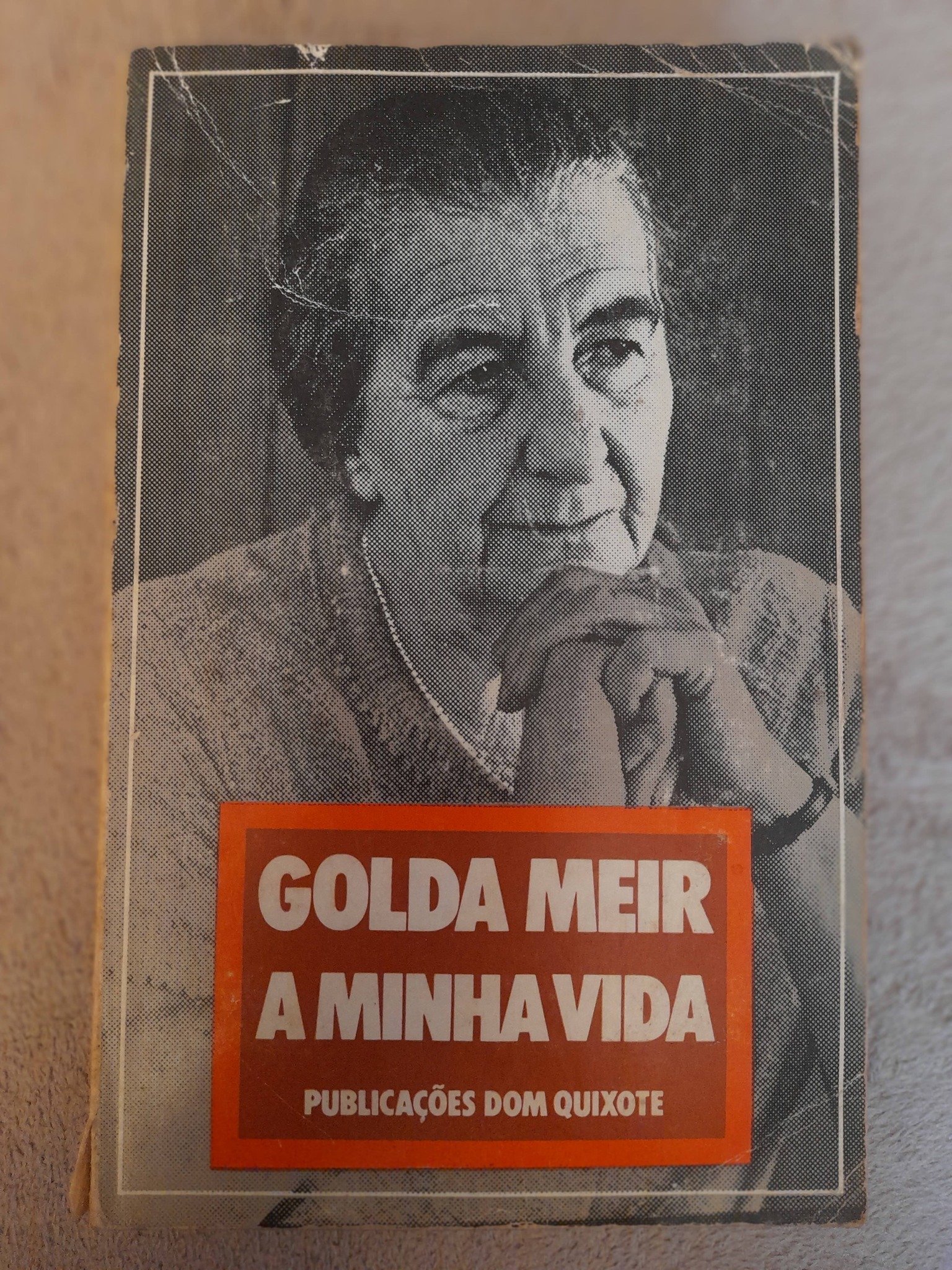 A Minha Vida 